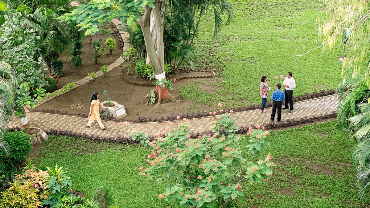 Three people standing and talking and one person walking in a lush garden
